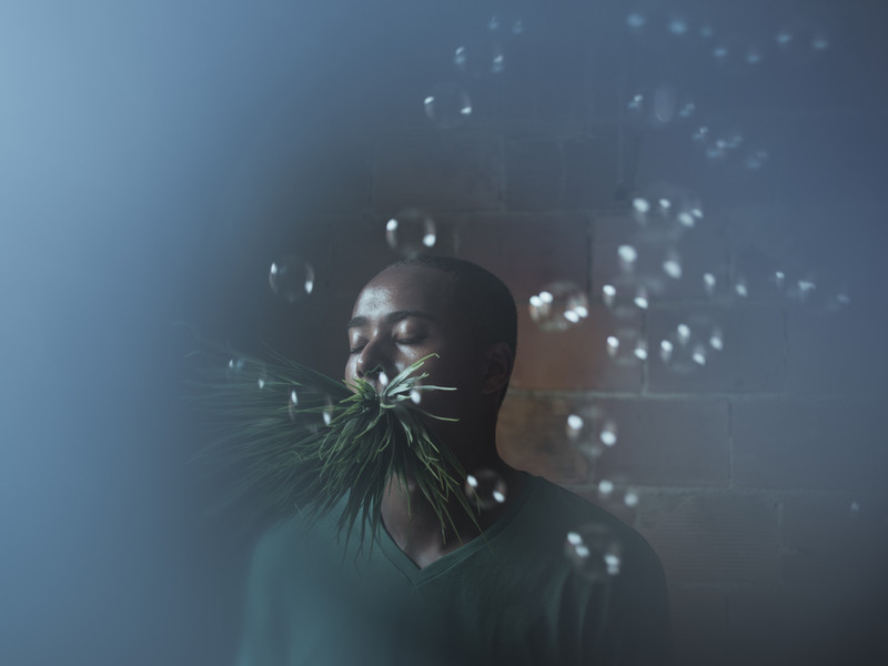 Cristina De Middel — Sharkification